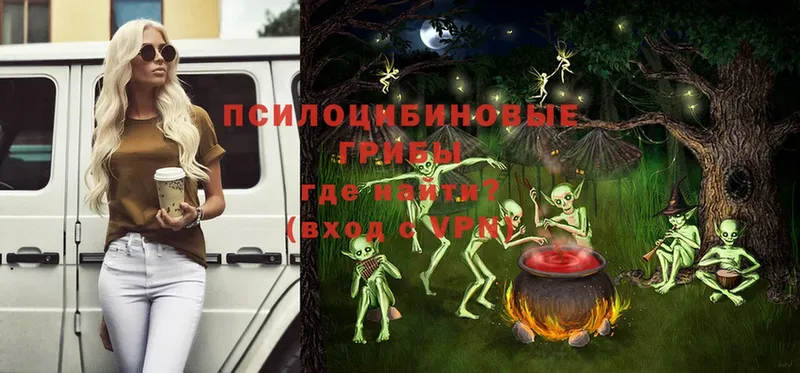 Псилоцибиновые грибы MAGIC MUSHROOMS  blacksprut как войти  Надым  дарнет шоп 