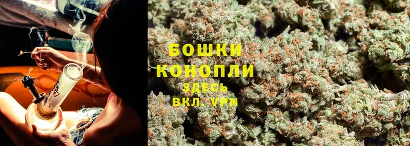 Марихуана THC 21%  как найти   Надым 